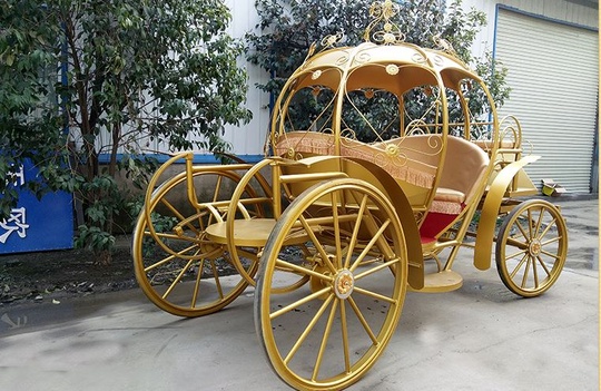 Рикша Карета Golden Apple