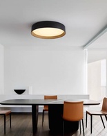 Потолочный светильник черный Elystrix, металл, 33*13 см, светодиодная, LED