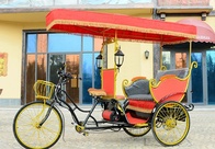 Электрорикша Карета