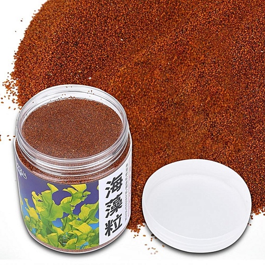 Маска для лица из семян водорослей