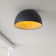 Потолочный светильник черный Elyrion, металл, 50*25 см, светодиодная, LED