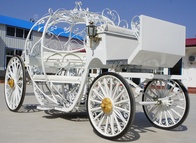 Рикша Карета Amur