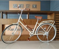 Городской Велосипед QUISKI