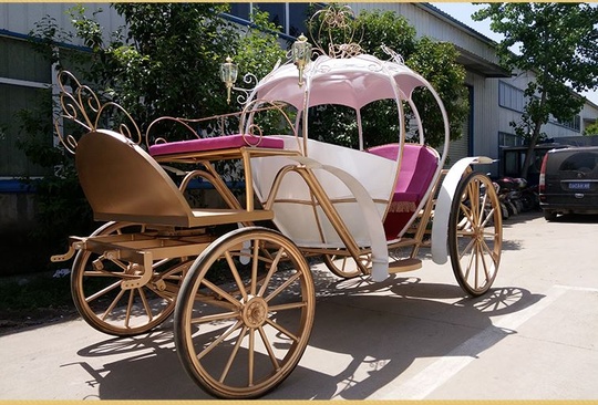 Рикша Карета Feay K2