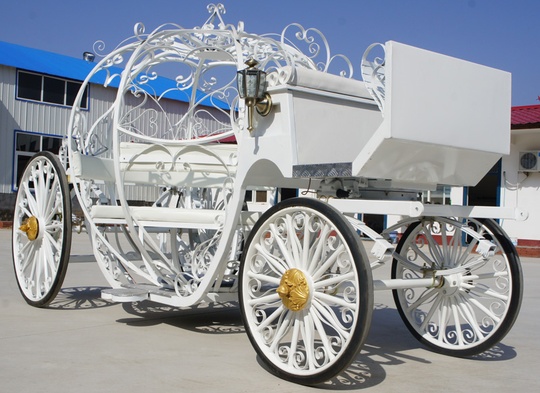 Рикша Карета Amur