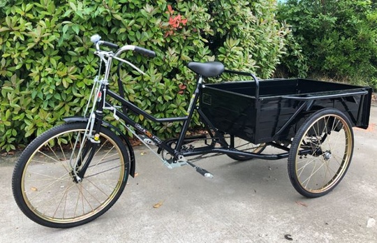 Велорикша Nanyang