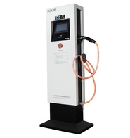 Зарядная Станция DLJ220