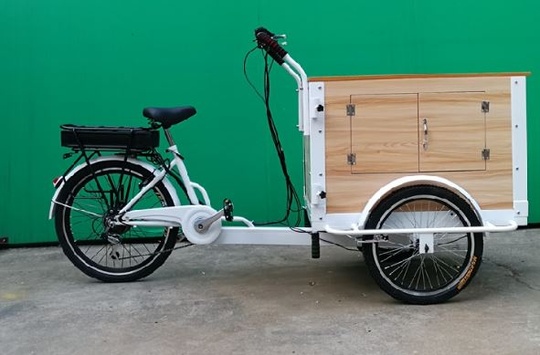 Велорикша Китай 240*80*110 см, 150 кг, 2 место, 85 кг