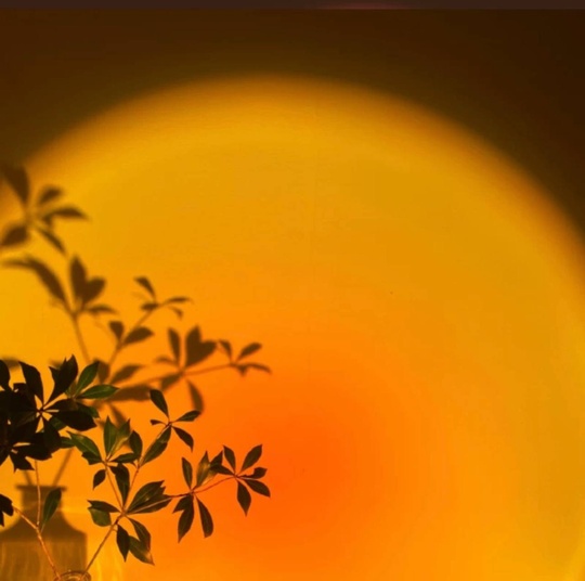 Настольная лампа ARTSTYLE 9*38 металл, песочно черный