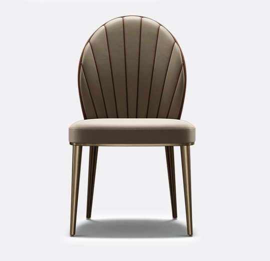 Обеденный стул Auralis 50*86*62 см, кожа - для дома и офиса в итальянском стиле