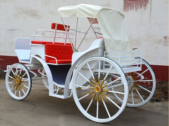 Рикша Карета Meralled