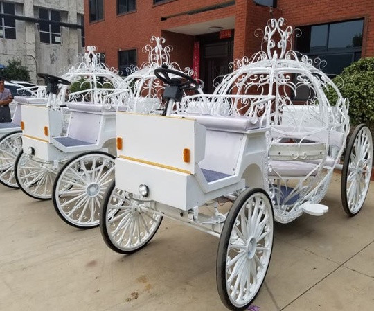 Рикша Карета Amur