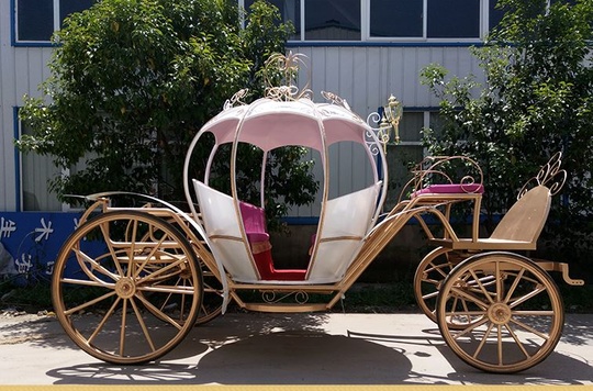 Рикша Карета Feay K2